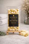 Starter Home Wax Melt